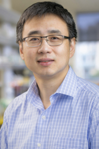 Yan Xiang, PhD